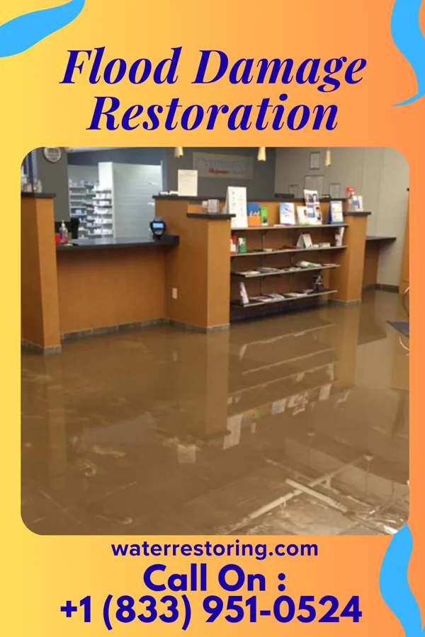 Flood Damage Restoration in Blue Eye, MO
