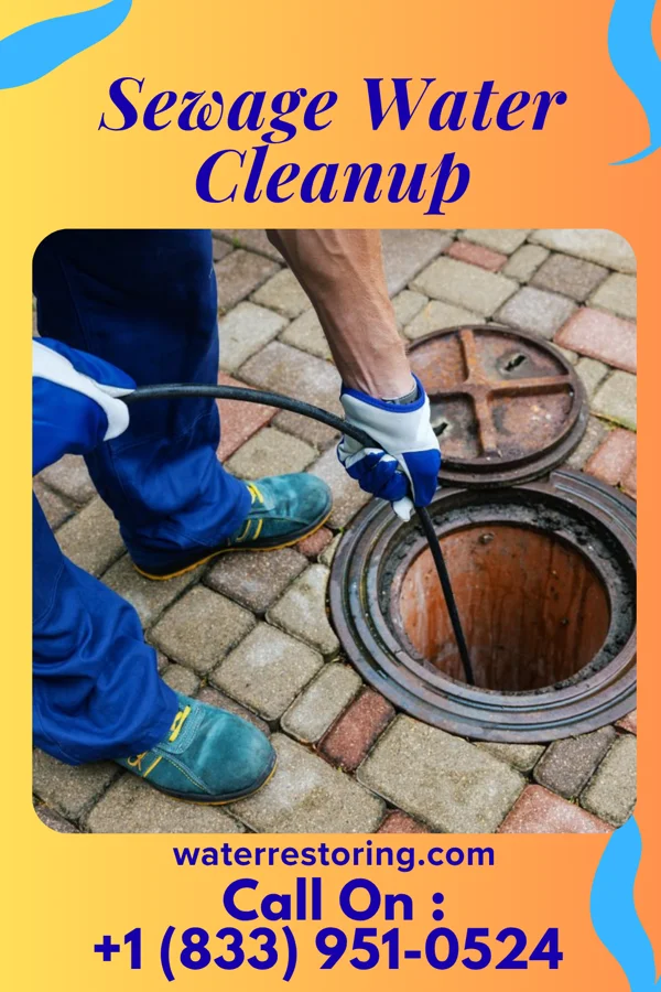 Sewage Water Cleanup in Blue Eye, MO